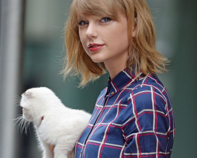 Taylor Swift y sus piernas de 40 millones sufrieron un ataque felino!