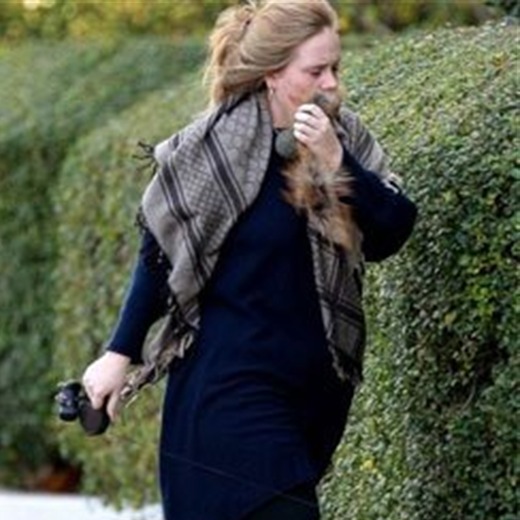 Adele de paseo por Londres