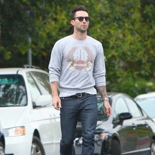 Adam Levine quiere actuar en Glee