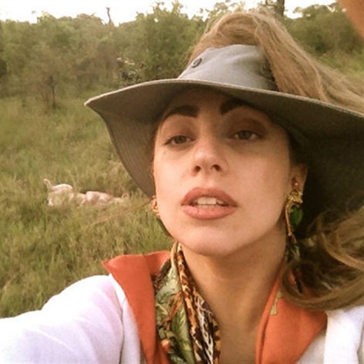 El safari de Lady Gaga