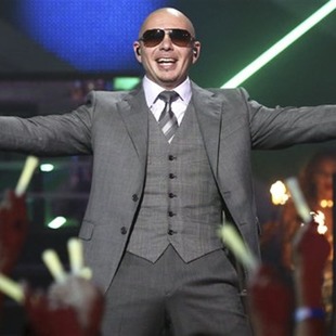 La opinión de Pitbull