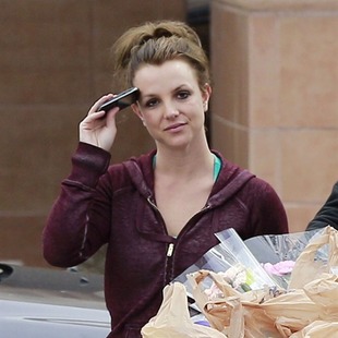 Britney Spears quiso ayudar y le salió mal