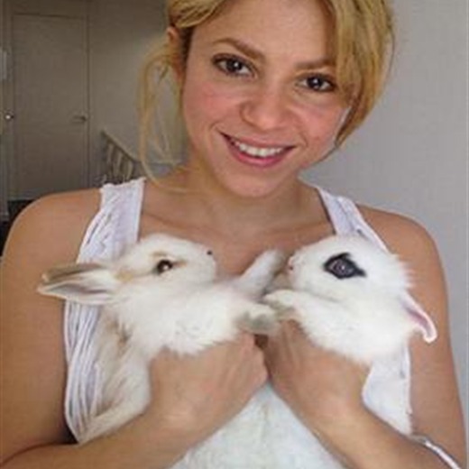 Shakira regaló sus conejos