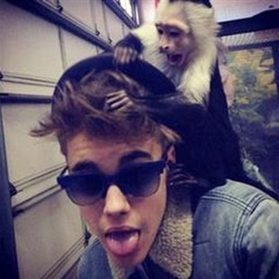 Siguen las malas para Justin Bieber