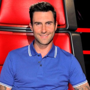 Adam Levine pide perdón