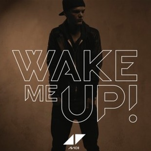 La verdad de Avicii
