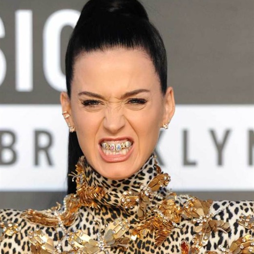 Obama retwitteó a Katy Perry y promocionó a Roar