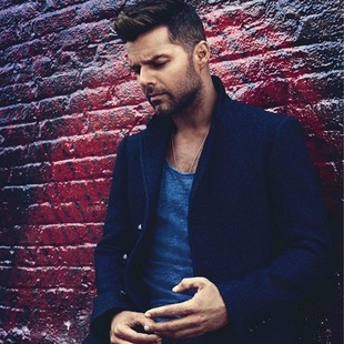 Ricky Martin es el elegido