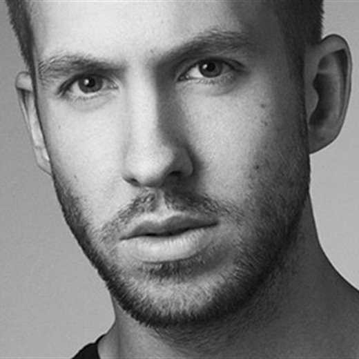 ¿Calvin Harris a la tele?