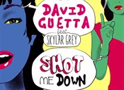David Guetta - Shot me Down ft. Skyler Grey
