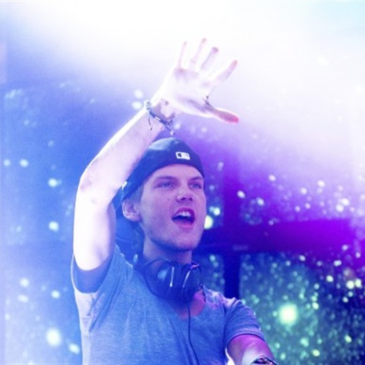 Avicii se baja de sus shows