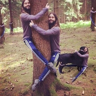 Jared Leto se divierte con los memes