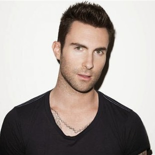 Adam Levine se casó
