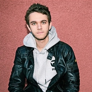 Zedd está perdiendo un oído