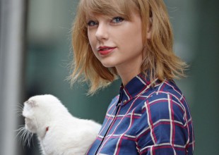 Taylor Swift y sus piernas de 40 millones sufrieron un ataque felino!