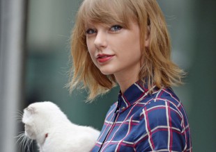 Calvin Harris, babysitter de la gata de Taylor Swift