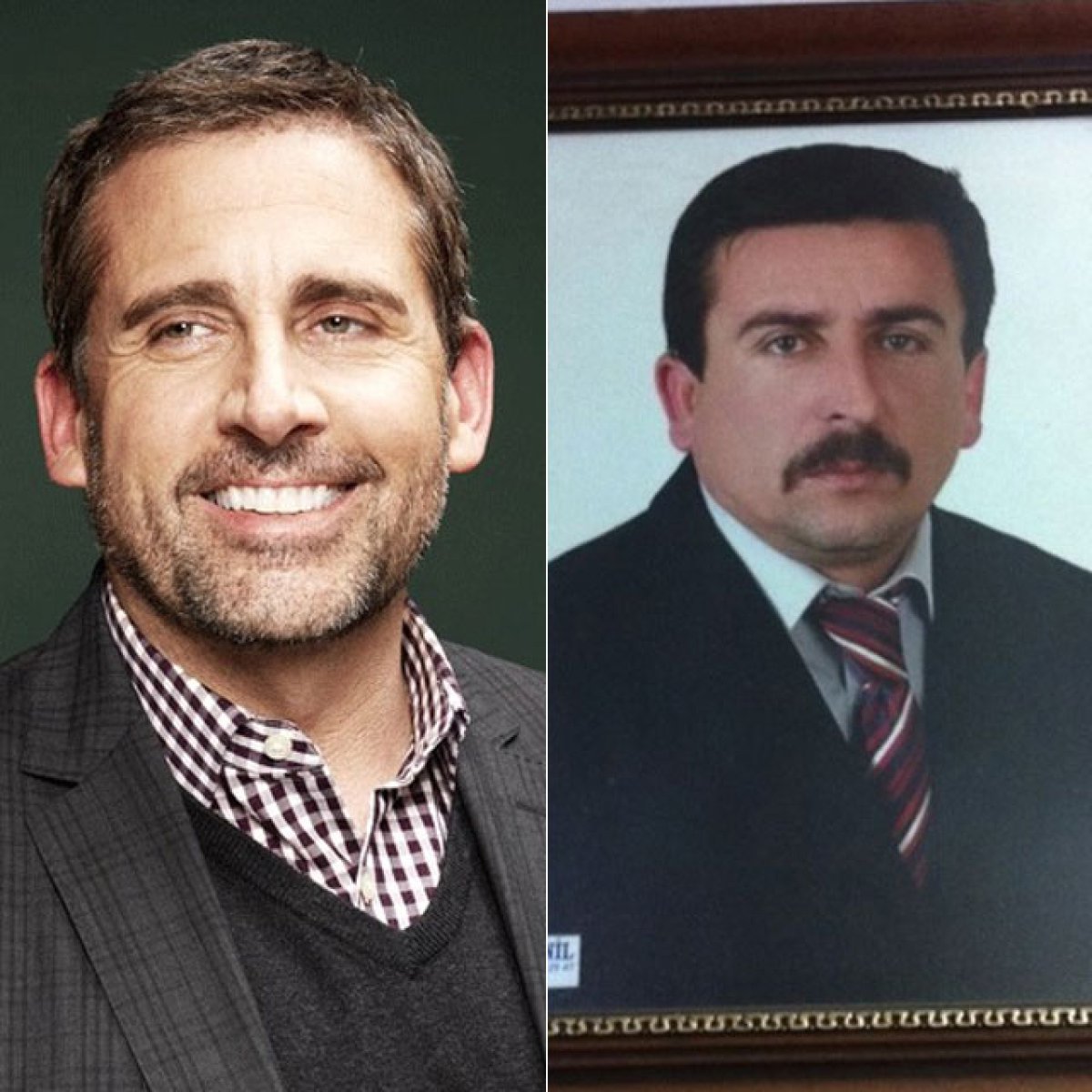 Steve Carrell