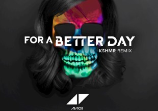 Avicii - For A Better Day