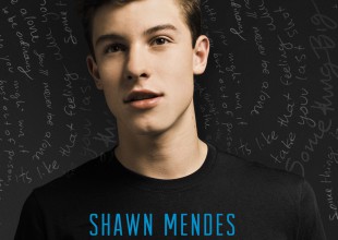 Shawn Mendes - Stitches