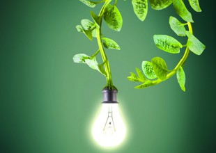 ¿Vas a poder cargar tu celu con una planta?