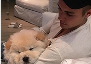 El Perro de Justin Bieber es furor en Instagram
