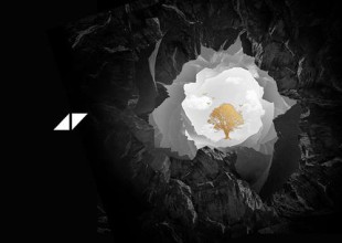 ¡Vuelve AVICII!