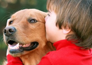 Un perro fantasma revolucionó las redes sociales