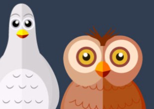 ¿Qué tipo de personalidad tenés? ¡Elegí una de estas aves y enterate!