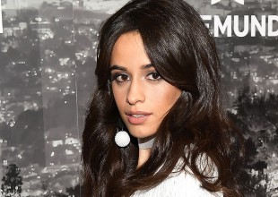¿Niall Horan quiere hacer una colaboración con Camila Cabello?
