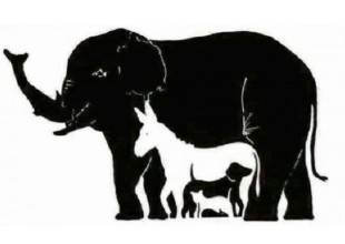 ¿Cuántos animales ves en esta foto?