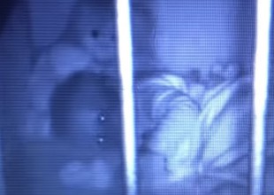 ¡Qué miedo! Un oso de peluche abraza a un bebé en su cuna