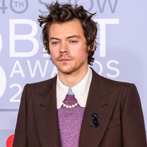El increíble regalo que recibió Harry Styles de parte de una cantante