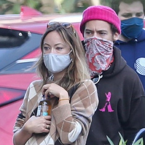 Muy enamorados: Harry Styles y Olivia Wilde se mostraron juntos en California