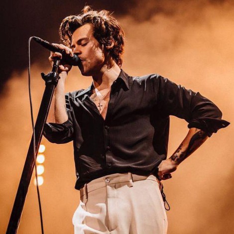 Conocé al "gemelo malo" de Harry Styles que se hizo viral en las redes sociales