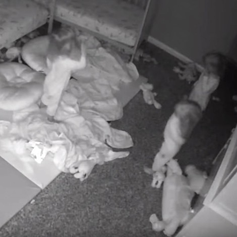 ¡Qué miedo! Una mujer grabó a sus hijas hablando con supuestos fantasmas