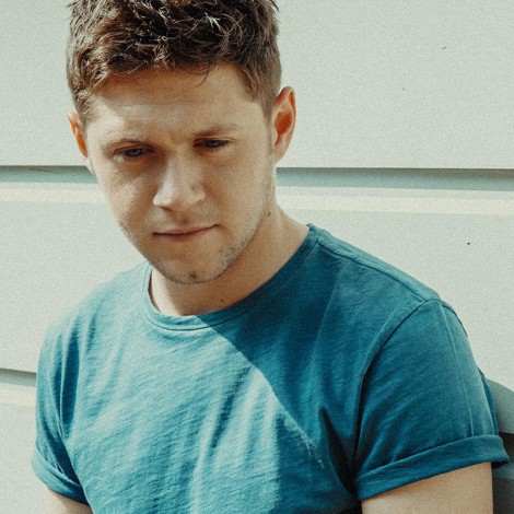 Niall Horan explicó las dificultades que vivió por formar parte de One Direction
