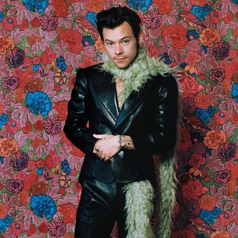 El bochornoso momento que vivió Harry Styles en pleno concierto
