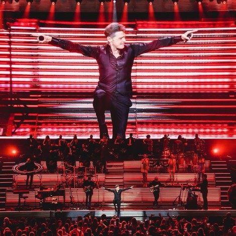Luis Miguel se cayó en el escenario y asustó a todos