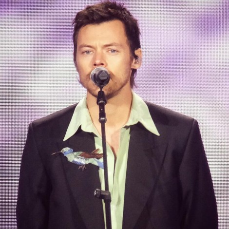 Harry Styles volvió a cantar en el escenario